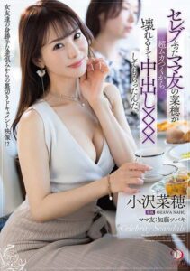 DLDSS-401