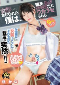 DASS-656