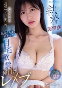 IPZZ-673