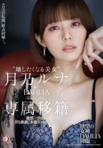 DLDSS-482