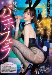 DLDSS-485